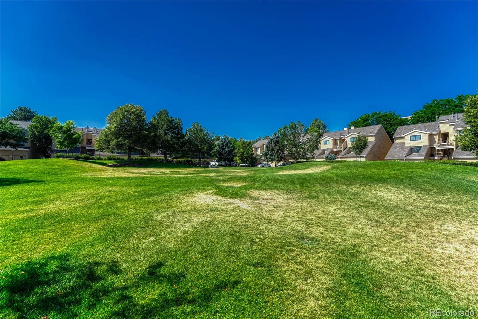 4872 E Kentucky Avenue #D Denver CO 80246 MLS #REC8605767 07252026002341 1600 33