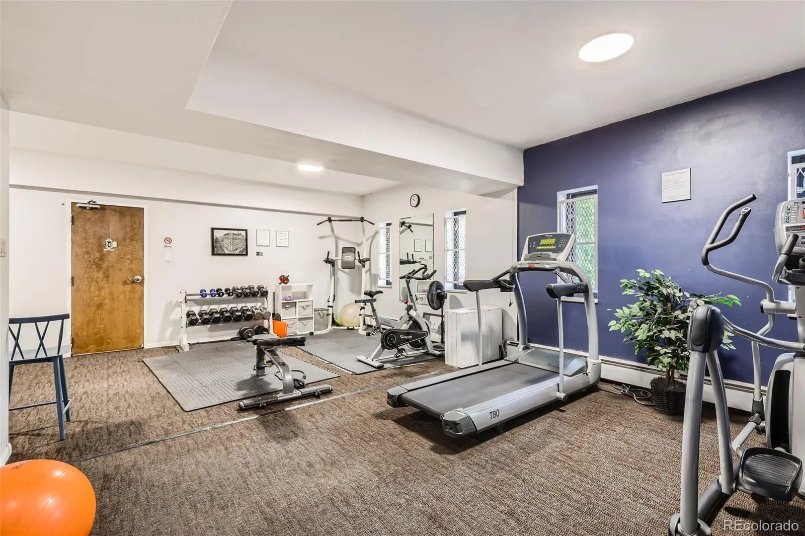 1050 N Corona Street #105 Denver CO 80218 MLS #REC8607622 05062026214451 1600 19