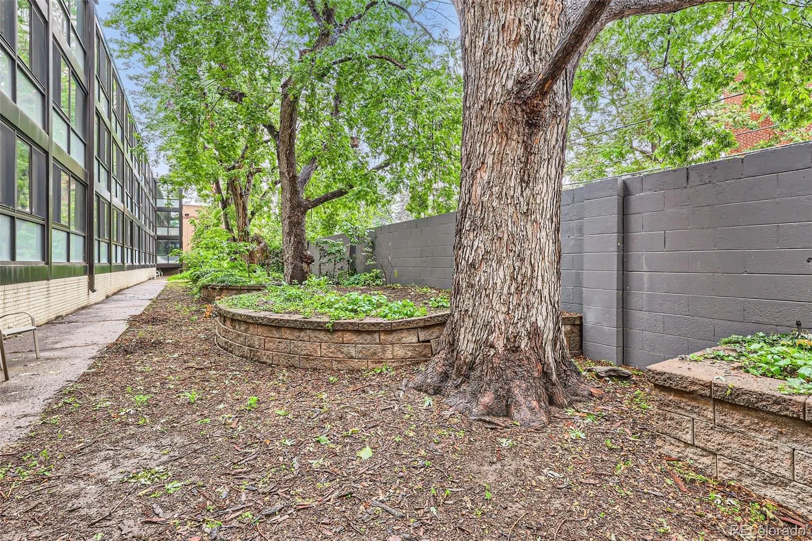 1050 N Corona Street #105 Denver CO 80218 MLS #REC8607622 05062026214451 1600 26