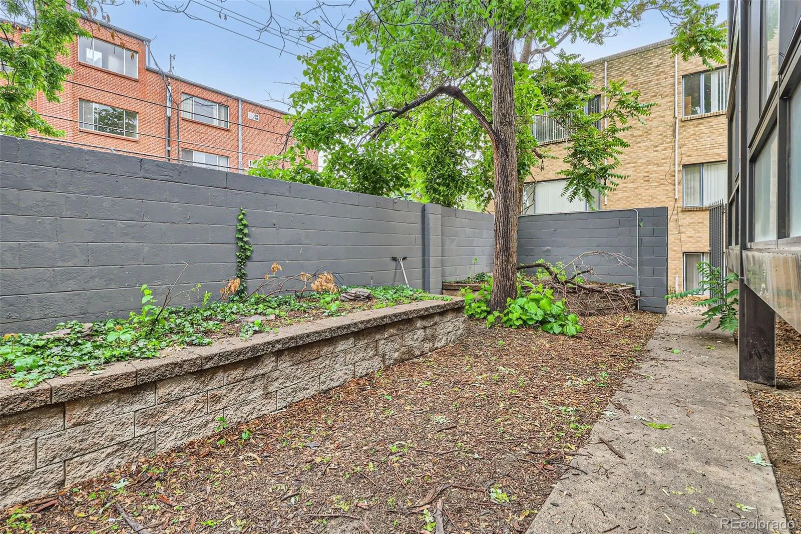 1050 N Corona Street #105 Denver CO 80218 MLS #REC8607622 05062026214451 1600 28