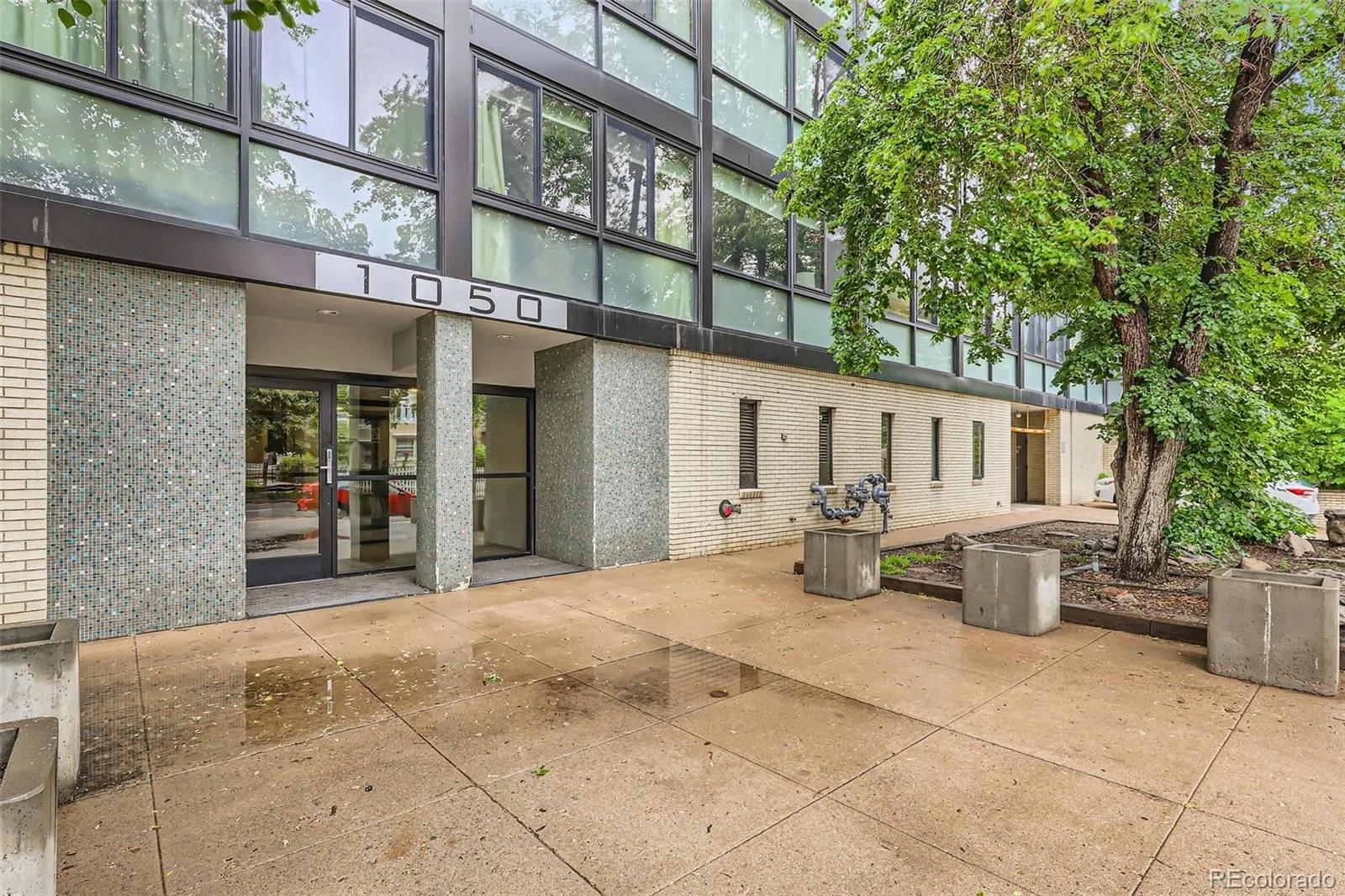 1050 N Corona Street #105 Denver CO 80218 MLS #REC8607622 05062026214451 1600 3