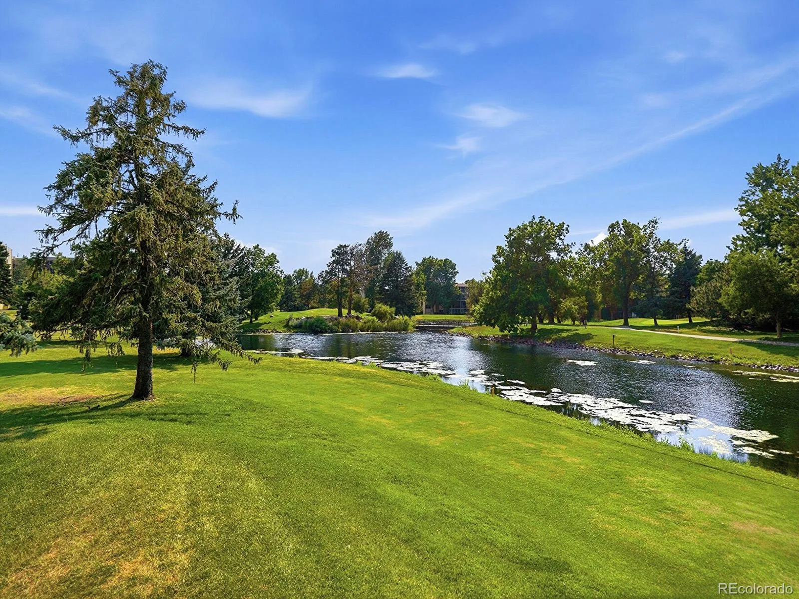 13691 E Marina Drive #201 Aurora CO 80014 | MLS #REC8608231 08152026224307 1600 36