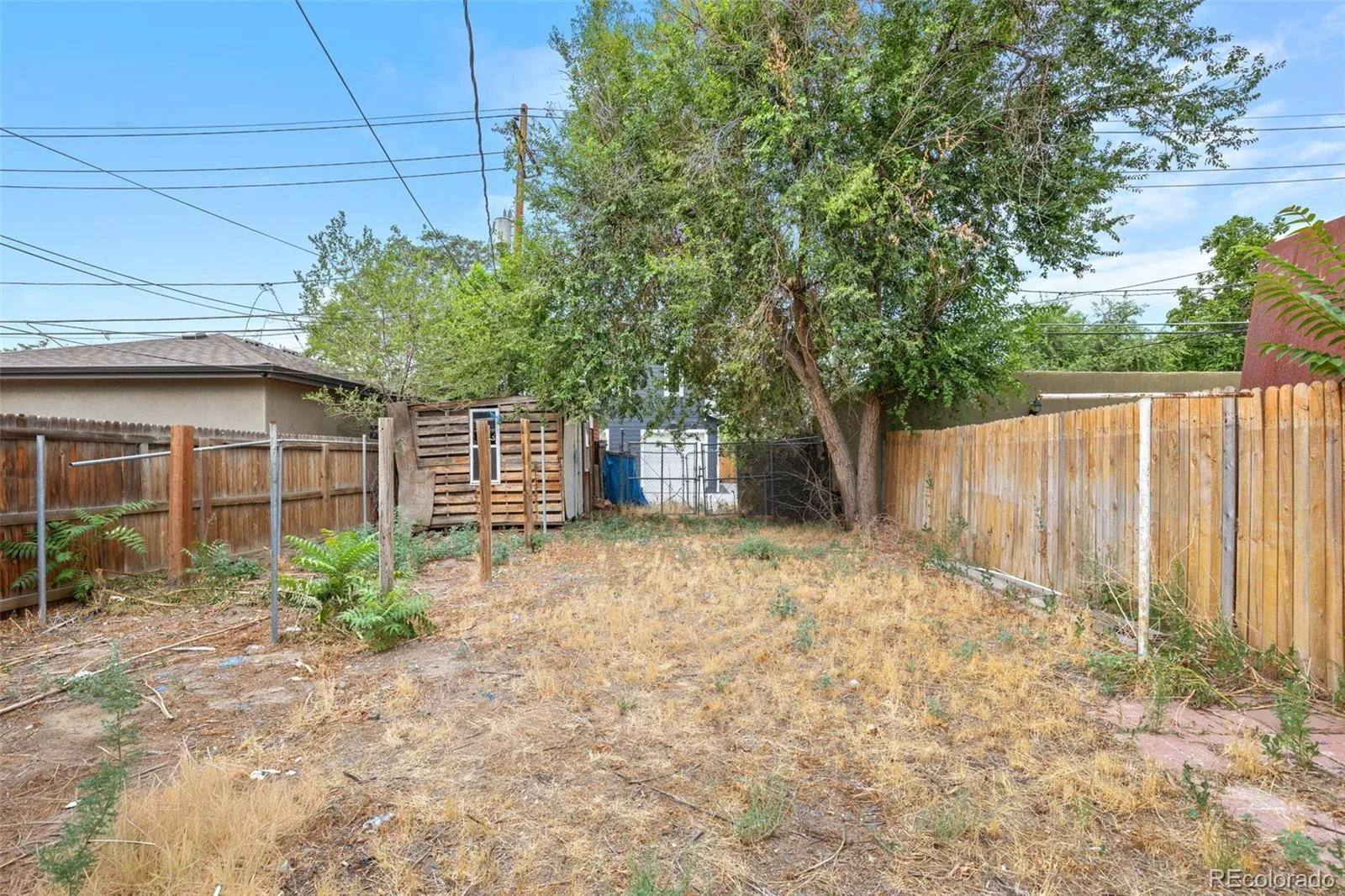 3784 N Williams Street Denver CO 80205 | MLS #REC8609365 08242026201928 1600 25