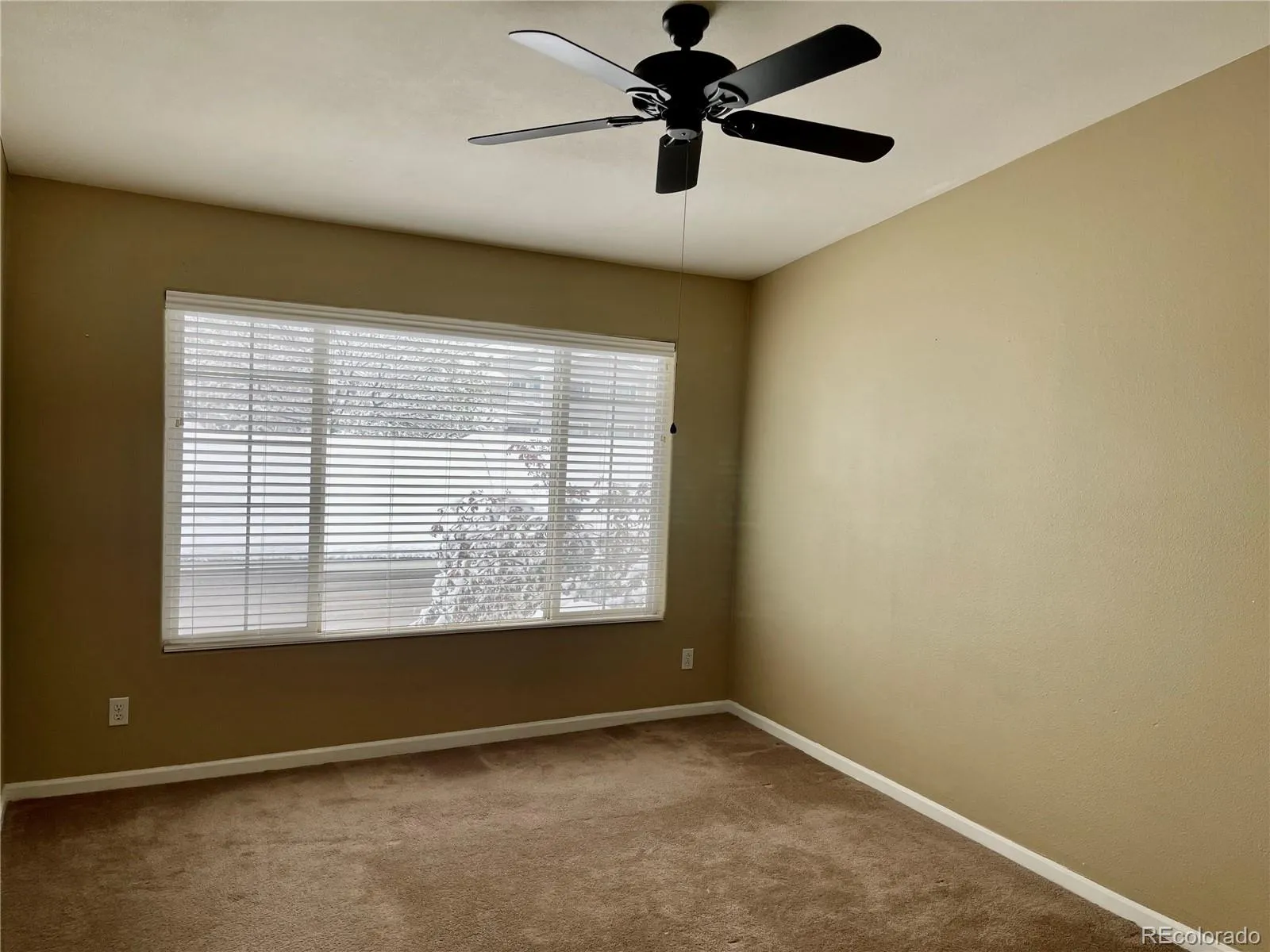 8304 Pebble Creek Way #203 #8304 Highlands Ranch CO 80126 | MLS #REC8610622 05282026042834 1600 14