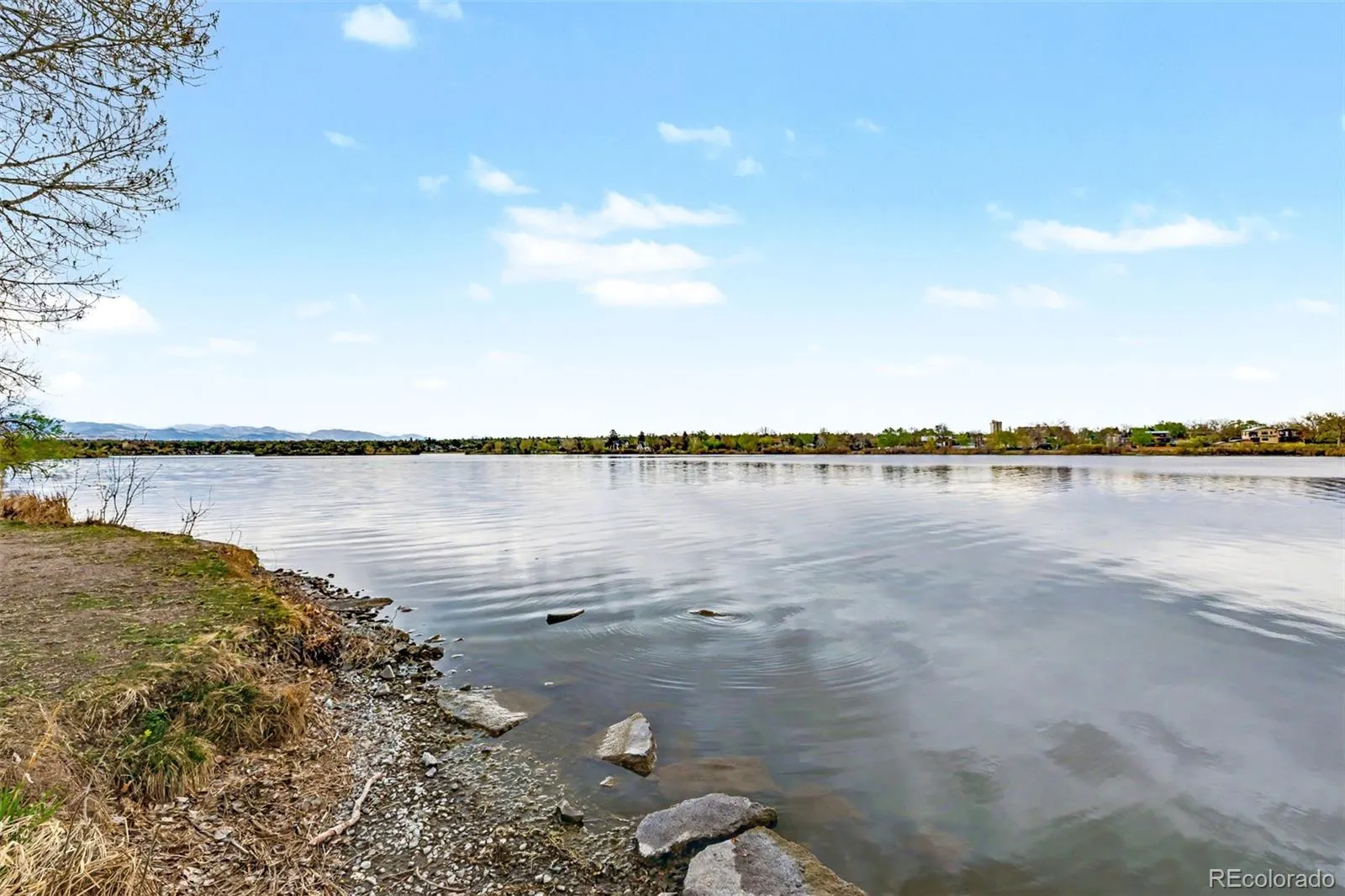1085 N Wolff Street Denver CO 80204 MLS #REC8616954 04102026182820 1600 32