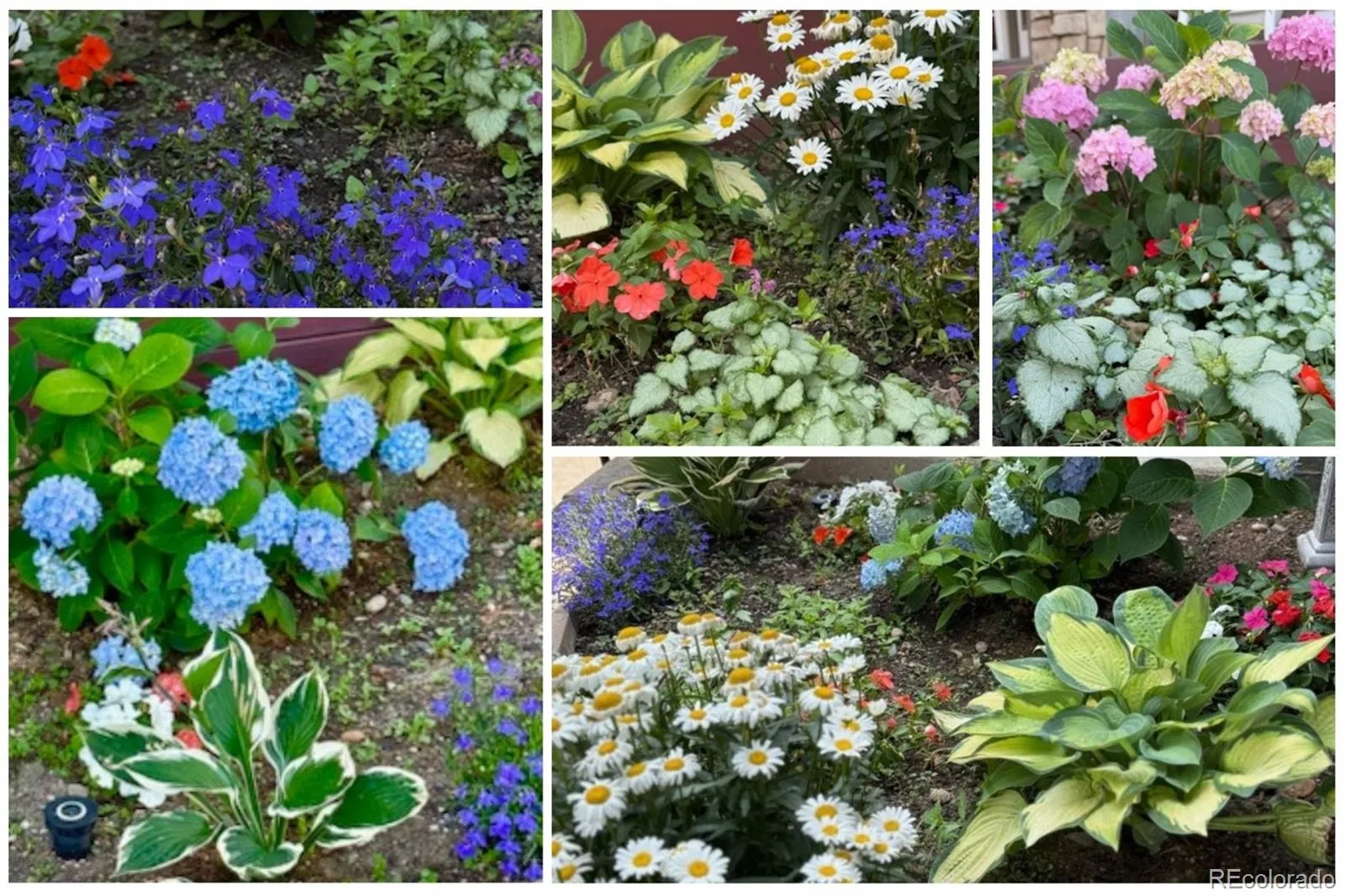 04092026060640 1600 37