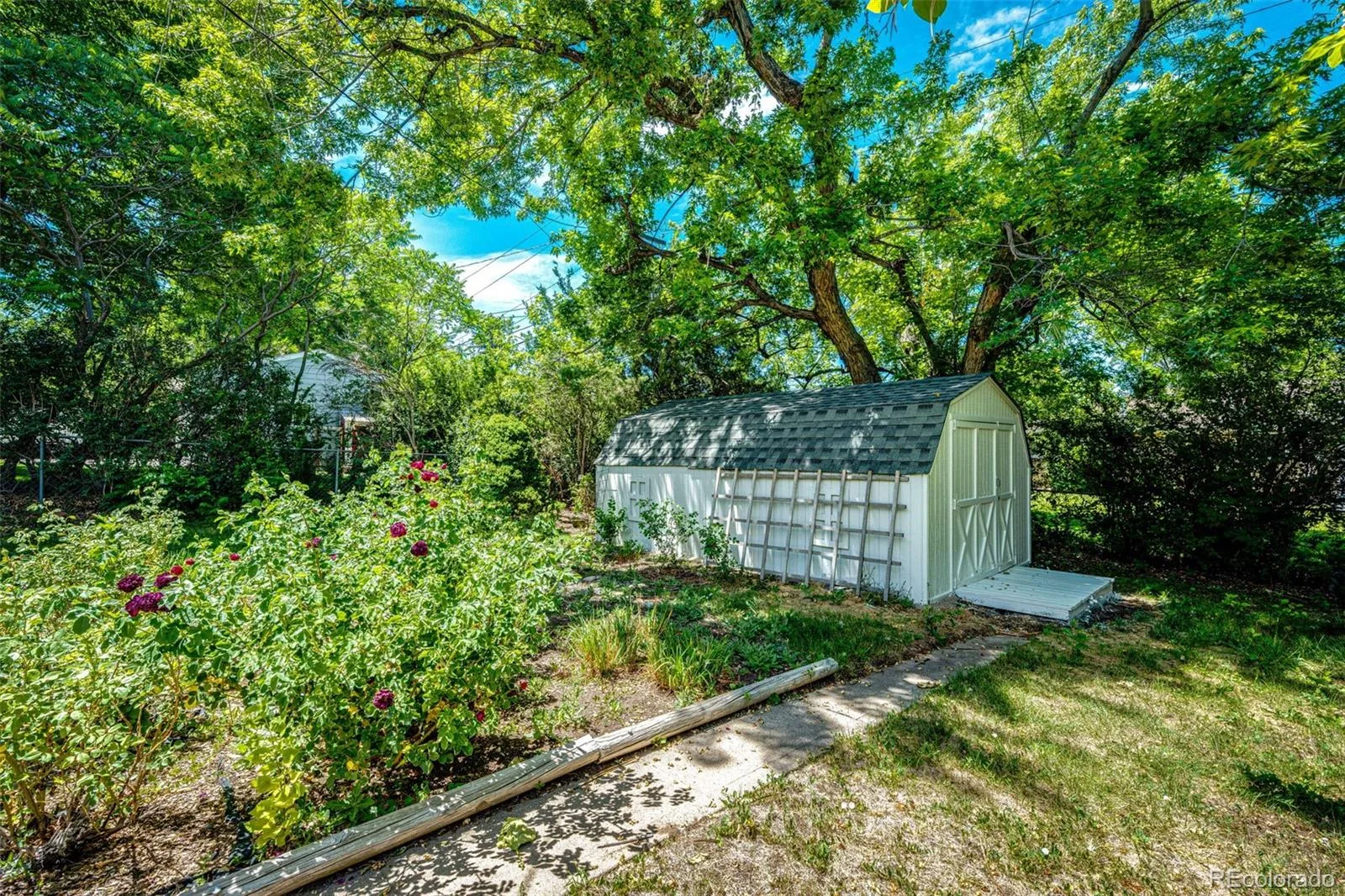 9015 W 4th Place Lakewood CO 80226 MLS #REC8630864 06202026000758 1600 24