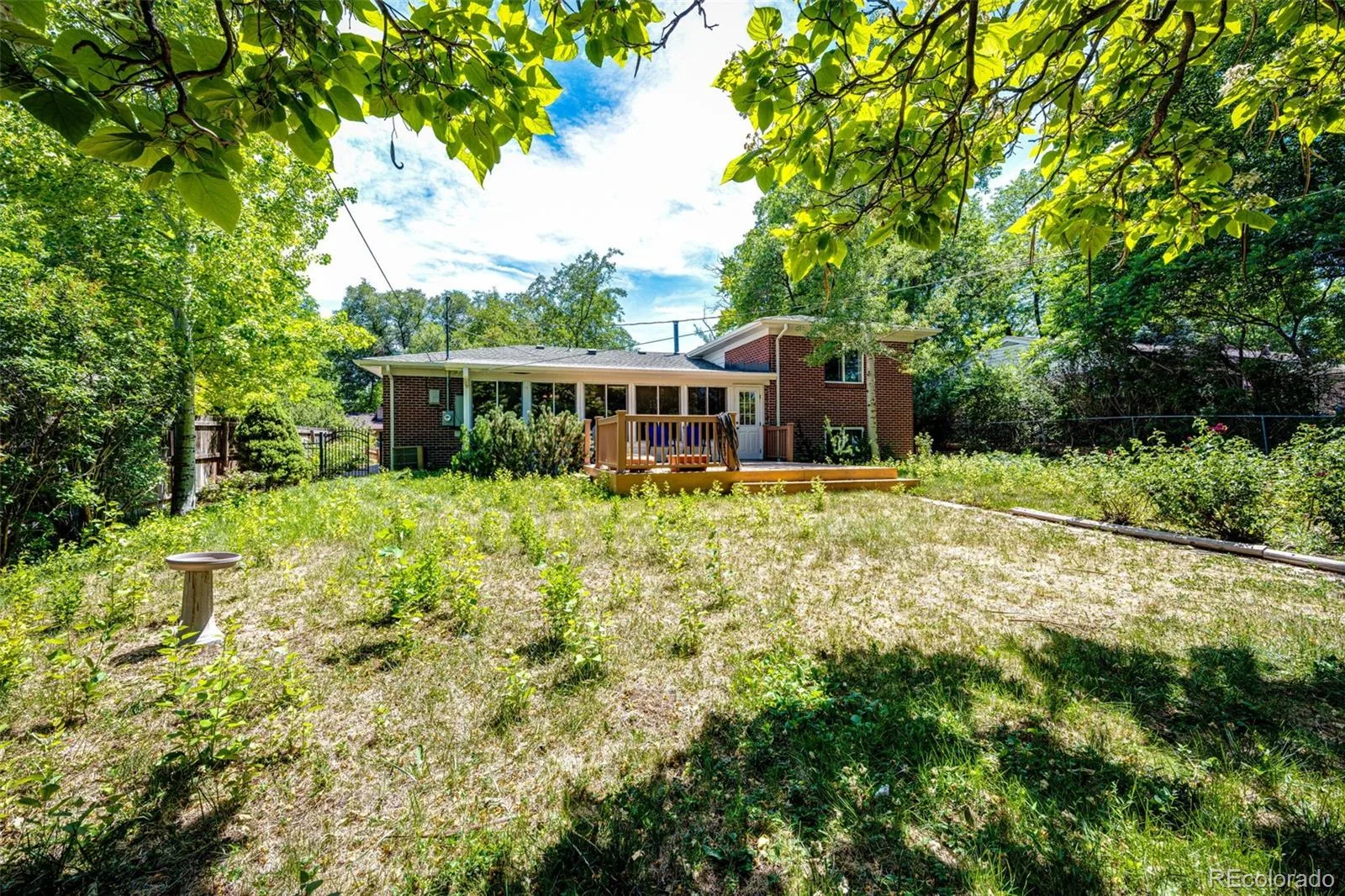 9015 W 4th Place Lakewood CO 80226 MLS #REC8630864 06202026000758 1600 25