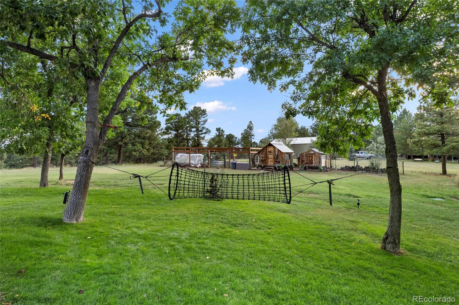 12464 Forest Canyon Drive Parker CO 80138 | MLS #REC8632405 08232026082557 1600 36
