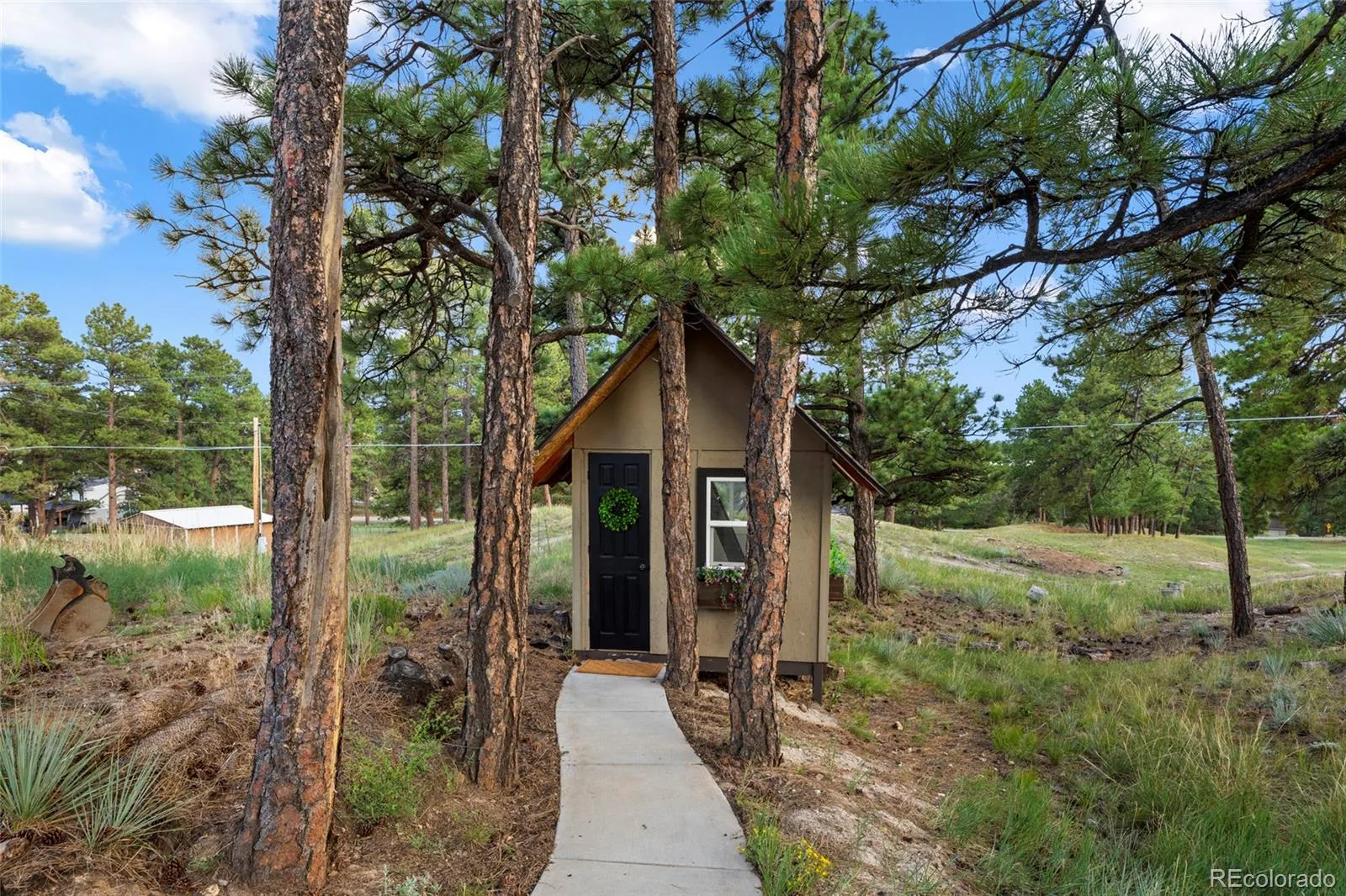 12464 Forest Canyon Drive Parker CO 80138 | MLS #REC8632405 08232026082557 1600 42