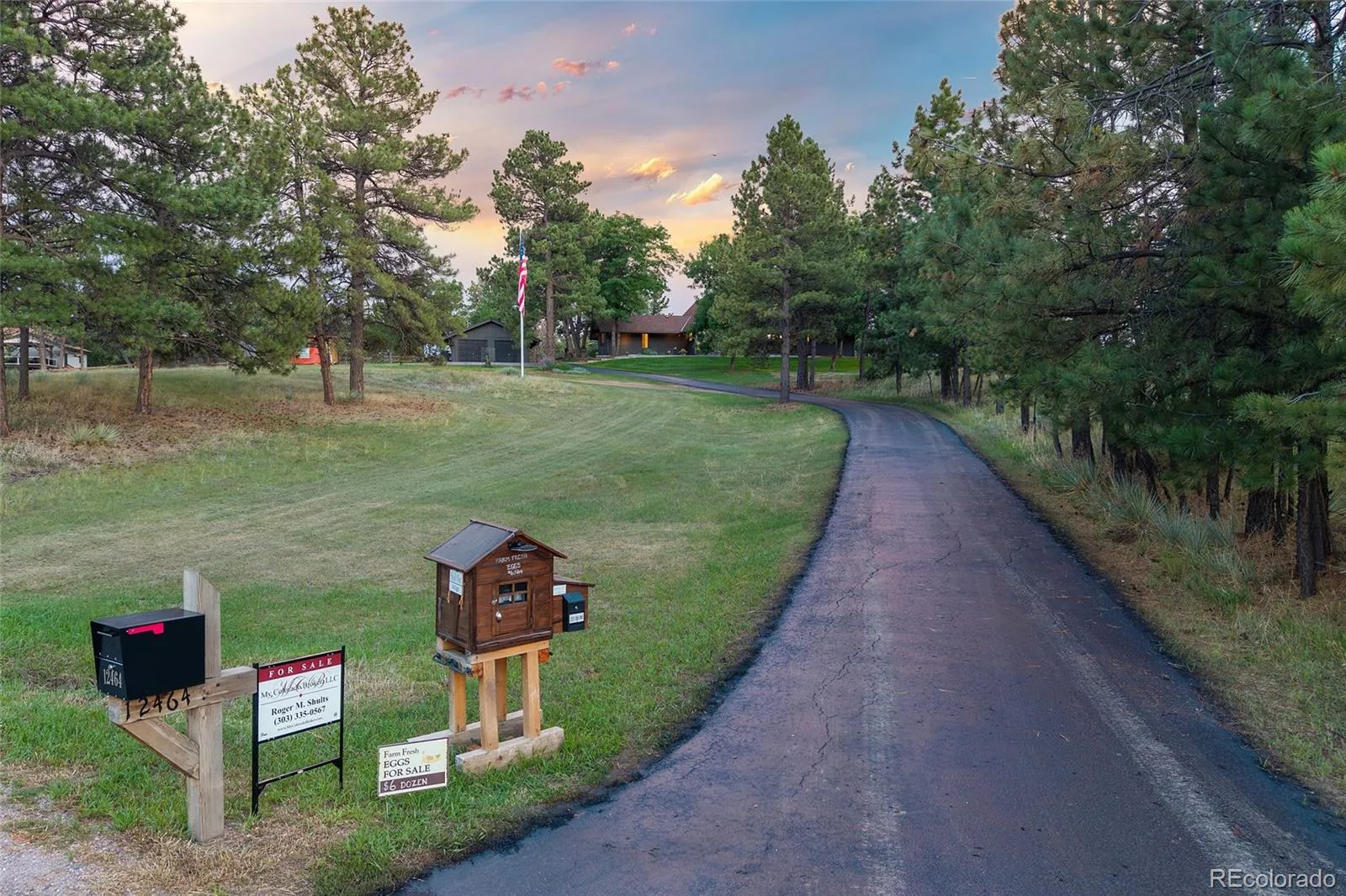 12464 Forest Canyon Drive Parker CO 80138 | MLS #REC8632405 08232026082557 1600 45