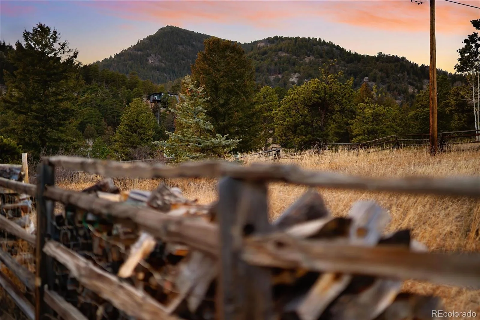 67 Carolyn Road Evergreen CO 80439 | MLS #REC8636652 07232026183702 1600 42