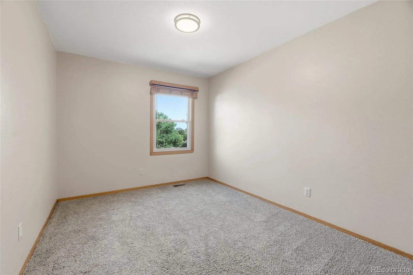 2201 Stuart Street Longmont CO 80501 MLS #REC8640897 06122026081432 1600 12