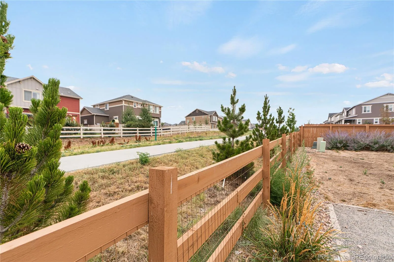 1159 Sunrise Drive Erie CO 80516 | MLS #REC8644070 08062026233624 1600 34