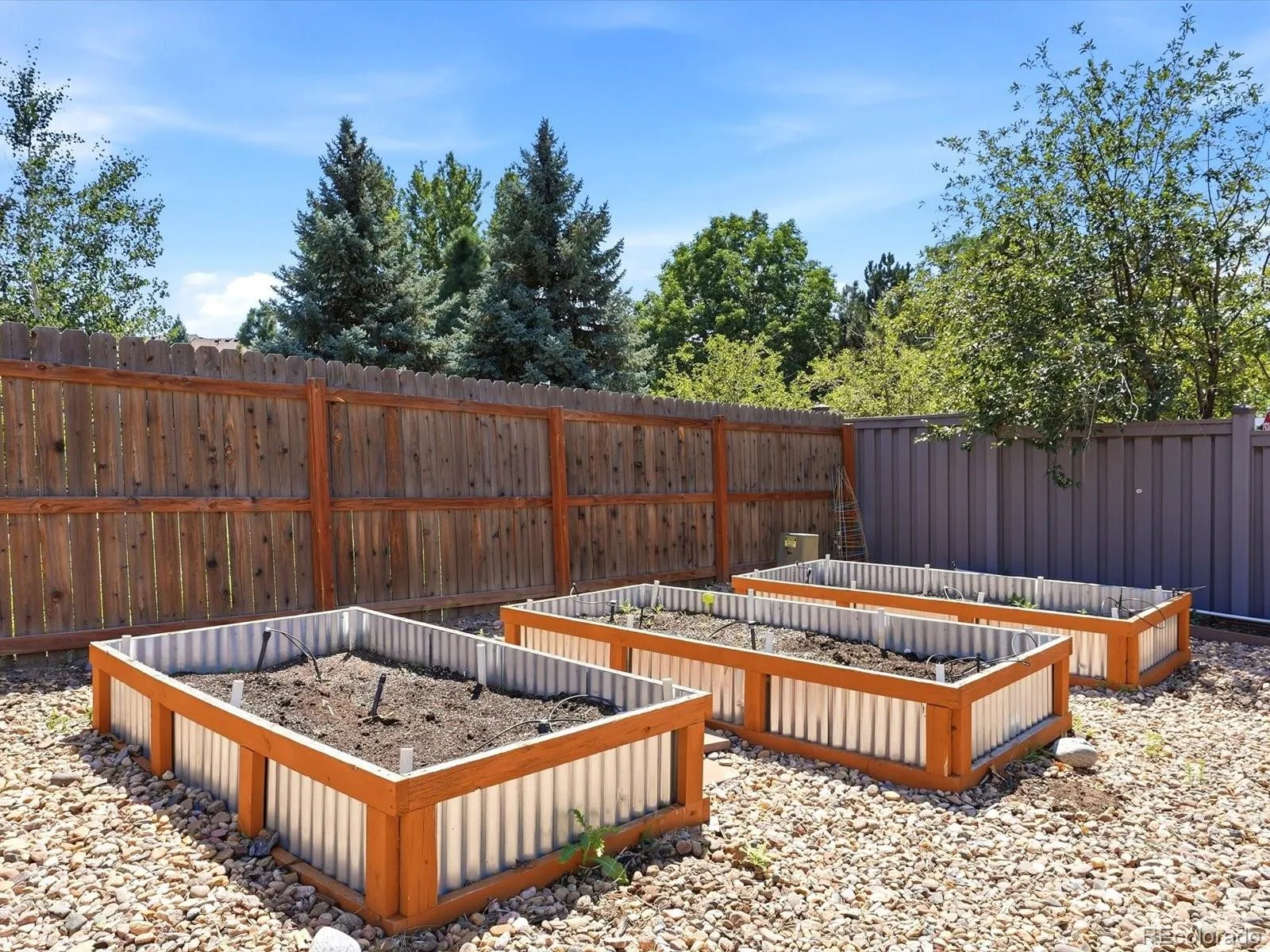 12663 S Dove Creek Court Parker CO 80134 | MLS #REC8644201 08292026032750 1600 29