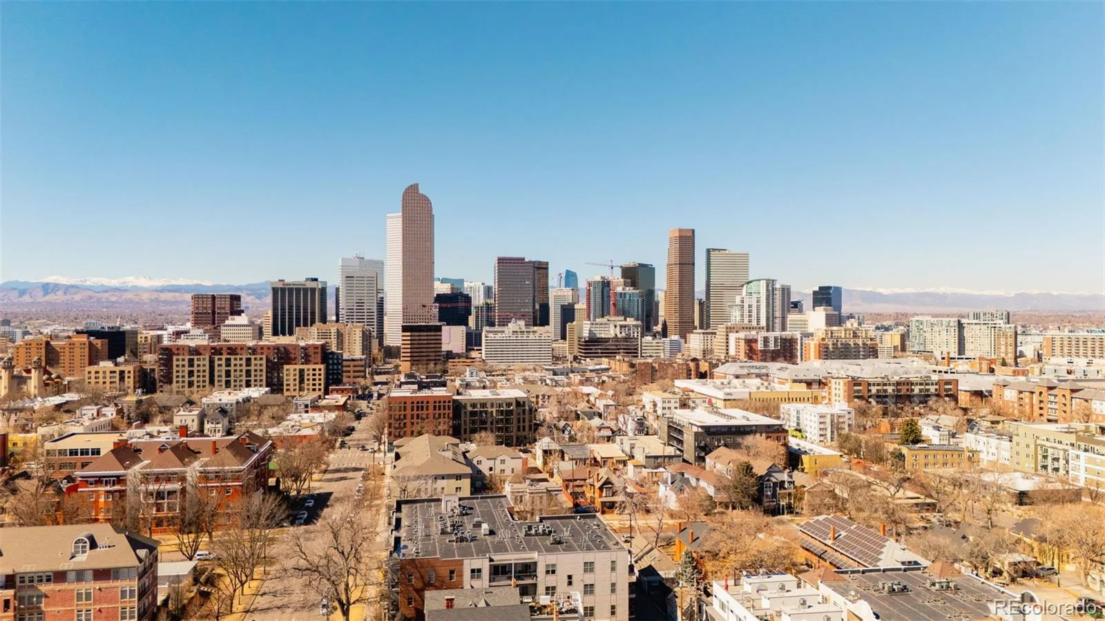 1025 E 17th Avenue #3 Denver CO 80218 | MLS #REC8647755 08212026205505 1600 44