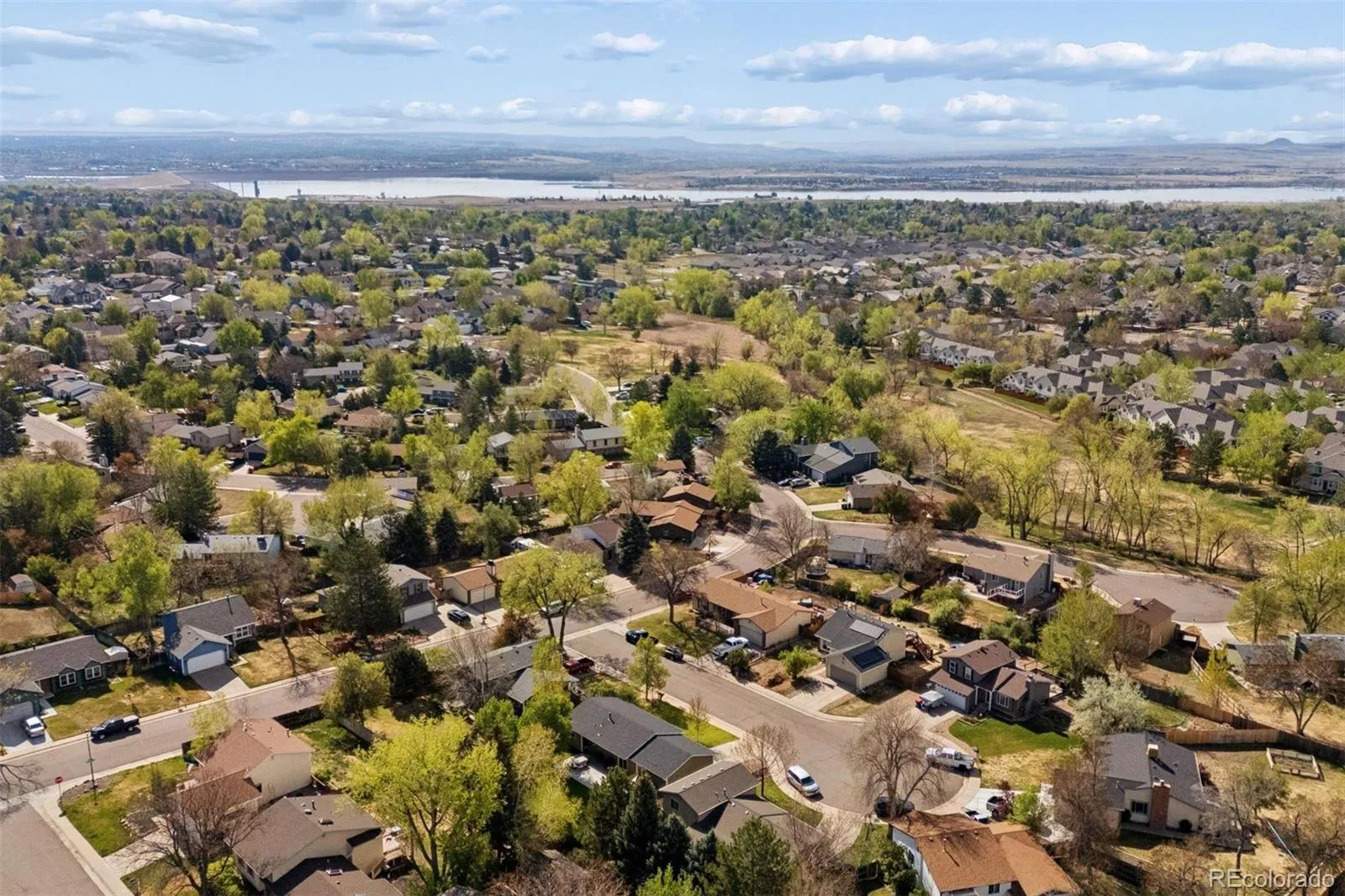 9115 W Monticello Place Littleton CO 80128 MLS #REC8651953 04302026234158 1600 41