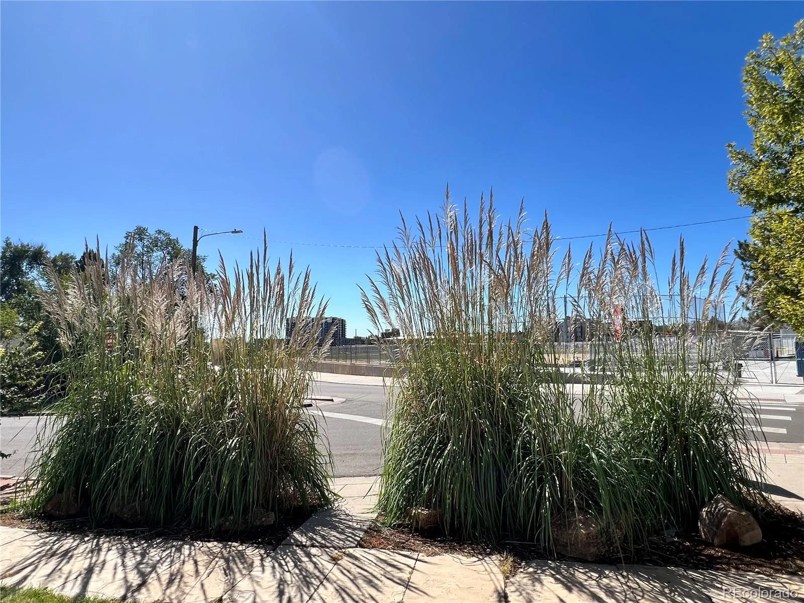 2615 W Caithness Place Denver CO 80211 | MLS #REC8653010 10172026185541 1600 47