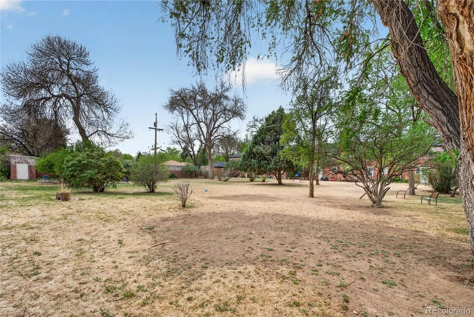 1165 Krameria Street Denver CO 80220 MLS #REC8653306 05052026043028 1600 17