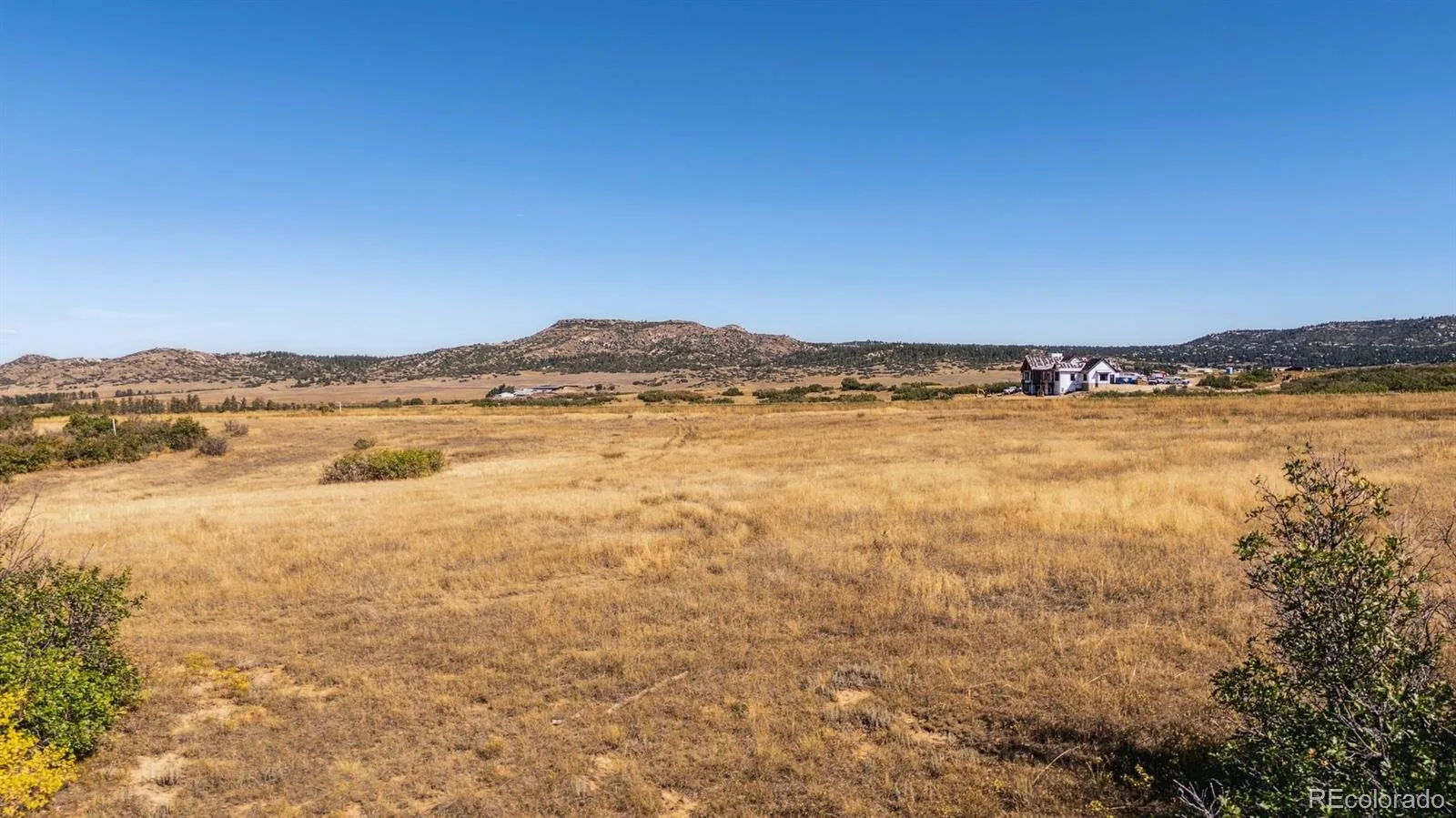 2814 Charlford Lane Sedalia CO 80135 | MLS #REC8653619 06012026191334 1600 25