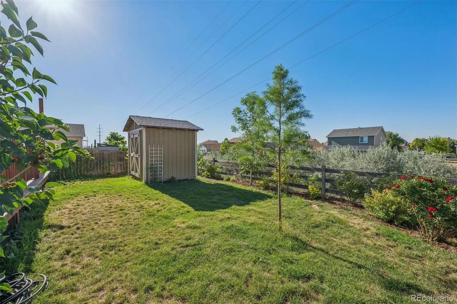 300 Mesa Avenue Lochbuie CO 80603 | MLS #REC8654422 07172026005814 1600 48