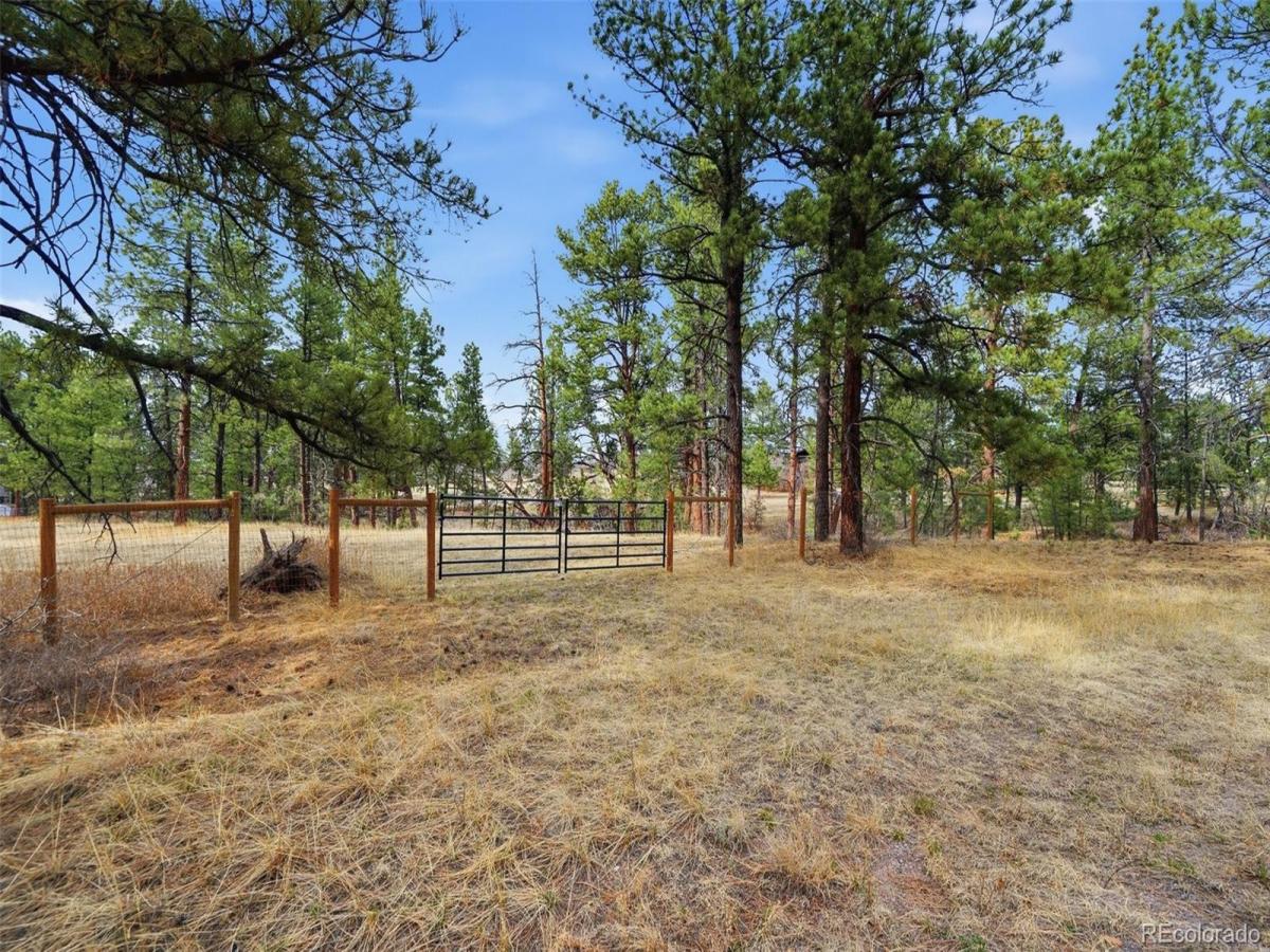 MLS #REC8658241 image #0