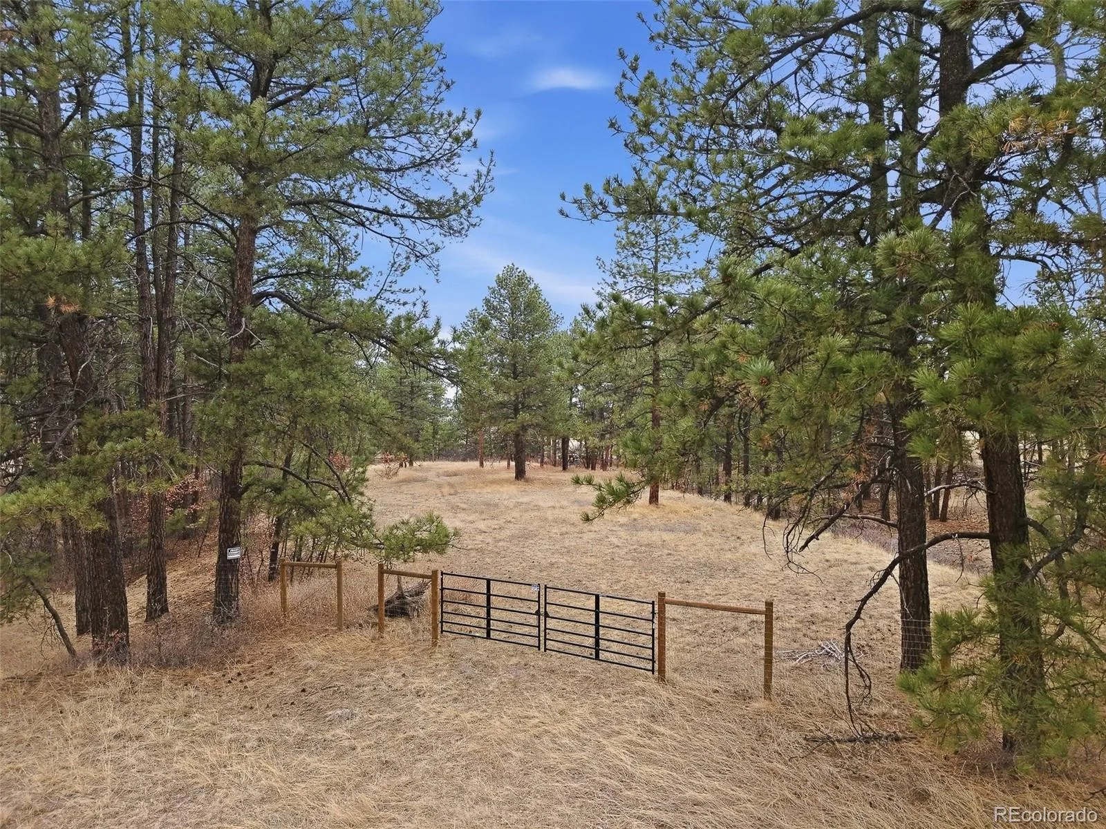 E Park Drive Franktown CO 80116 | MLS #REC8658241 08012026202708 1600 1