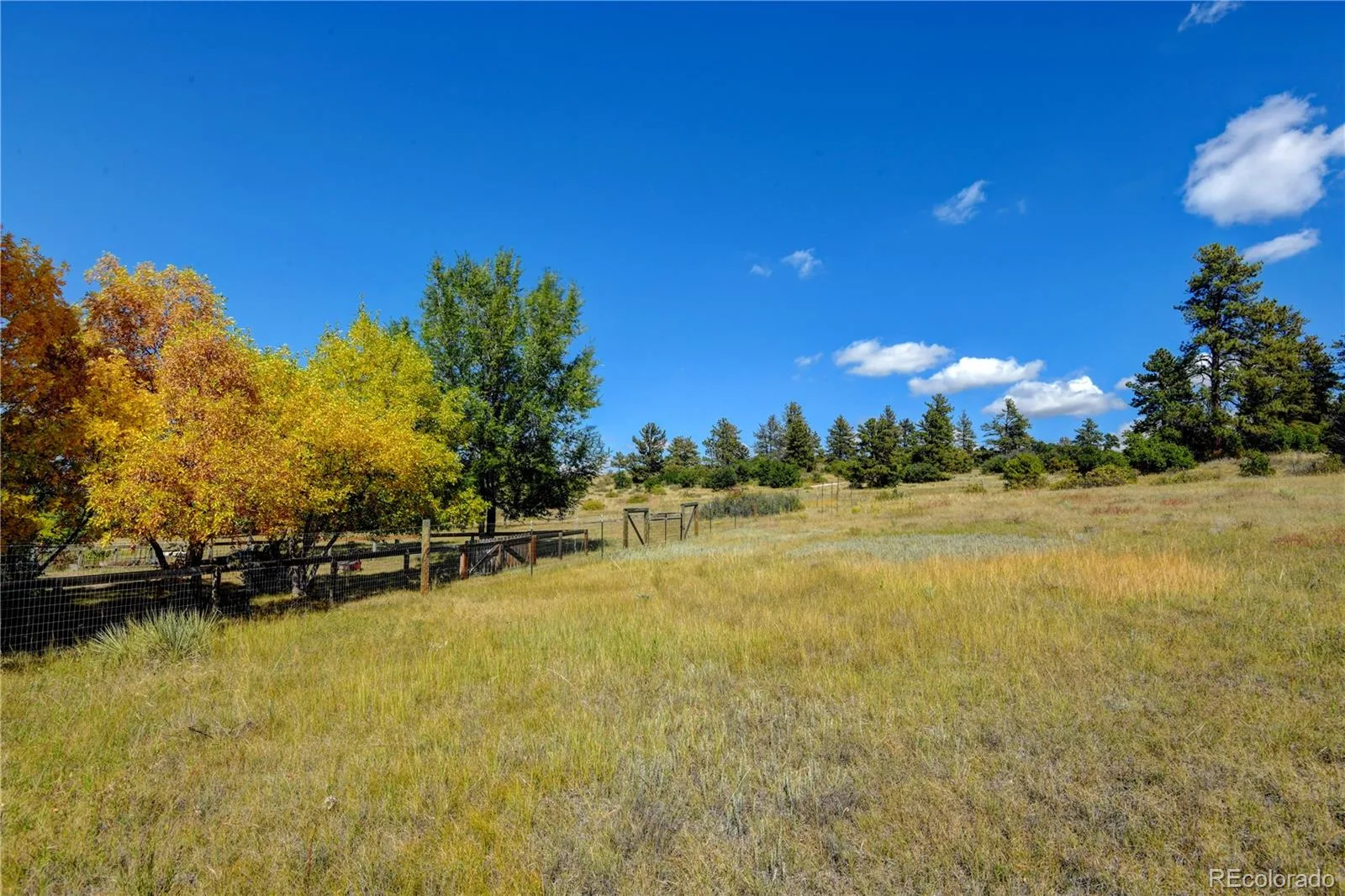 E Park Drive Franktown CO 80116 | MLS #REC8658241 08012026202708 1600 10