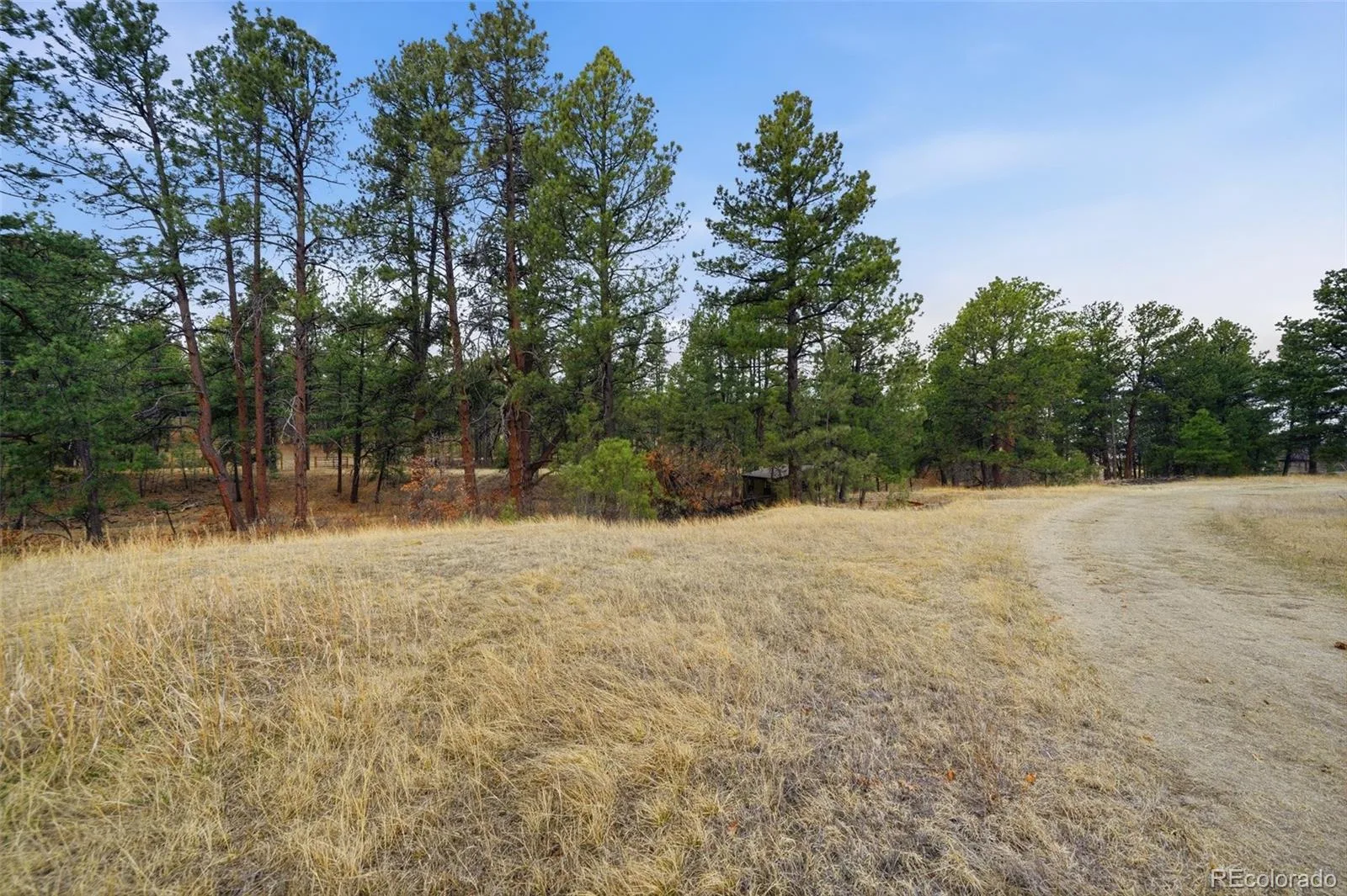 E Park Drive Franktown CO 80116 | MLS #REC8658241 08012026202708 1600 4