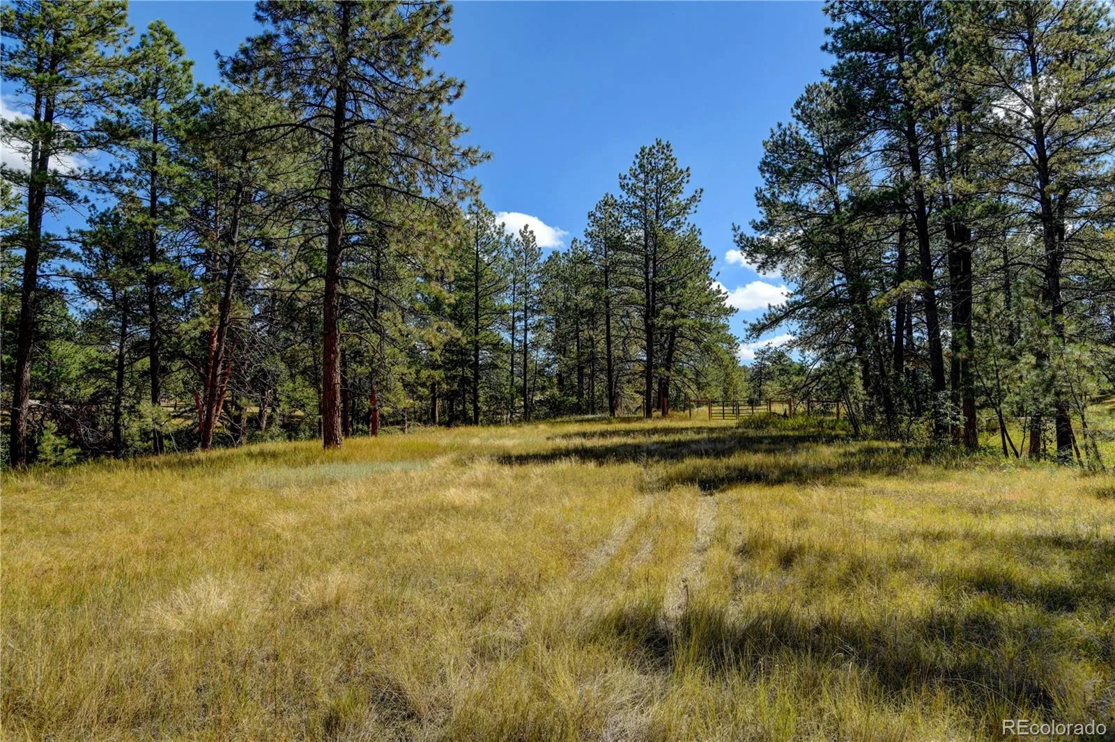 E Park Drive Franktown CO 80116 | MLS #REC8658241 08012026202708 1600 5