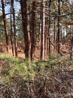 E Park Drive Franktown CO 80116 | MLS #REC8658241 08012026202708 240 13