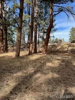 E Park Drive Franktown CO 80116 | MLS #REC8658241 08012026202708 240 14