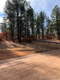 E Park Drive Franktown CO 80116 | MLS #REC8658241 08012026202708 240 15