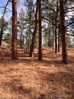 E Park Drive Franktown CO 80116 | MLS #REC8658241 08012026202708 240 16