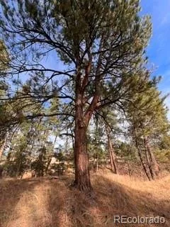 E Park Drive Franktown CO 80116 | MLS #REC8658241 08012026202708 240 17
