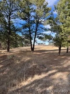 E Park Drive Franktown CO 80116 | MLS #REC8658241 08012026202708 240 19