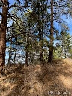 E Park Drive Franktown CO 80116 | MLS #REC8658241 08012026202708 240 21