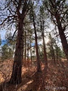 E Park Drive Franktown CO 80116 | MLS #REC8658241 08012026202708 240 22