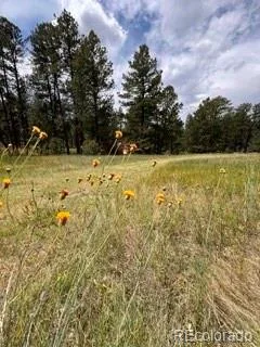 E Park Drive Franktown CO 80116 | MLS #REC8658241 08012026202708 240 9