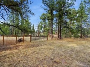 E Park Drive Franktown CO 80116 | MLS #REC8658241 08012026202708 300 0