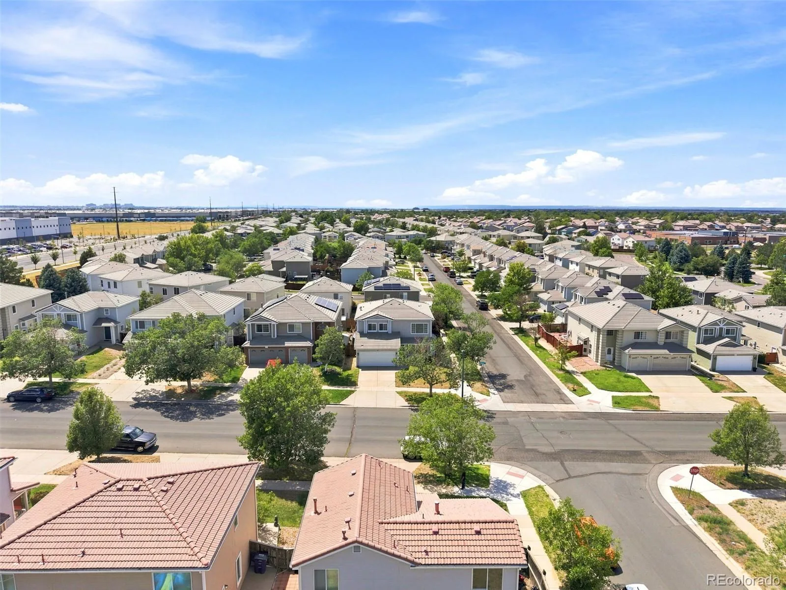 3897 Lisbon Street Denver CO 80249 | MLS #REC8659141 07252026020652 1600 40