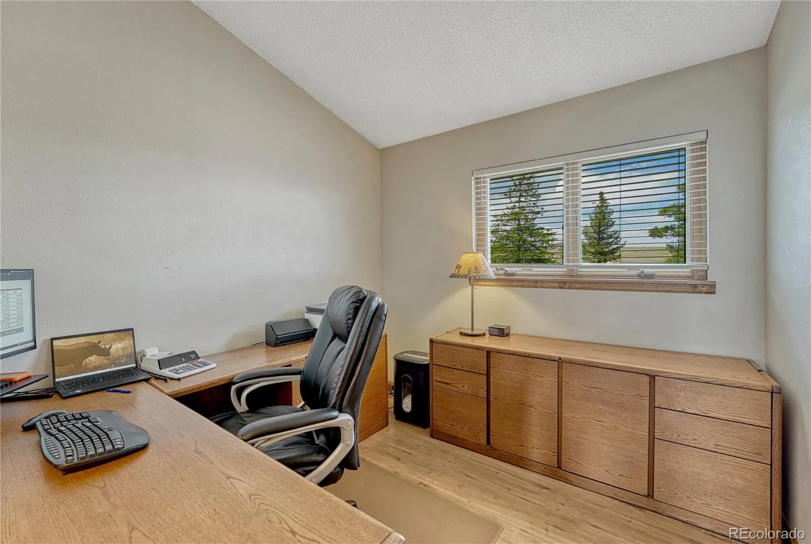 1884 Elizabeth Drive Parker CO 80138 | MLS #REC8660058 05162026041709 1600 11