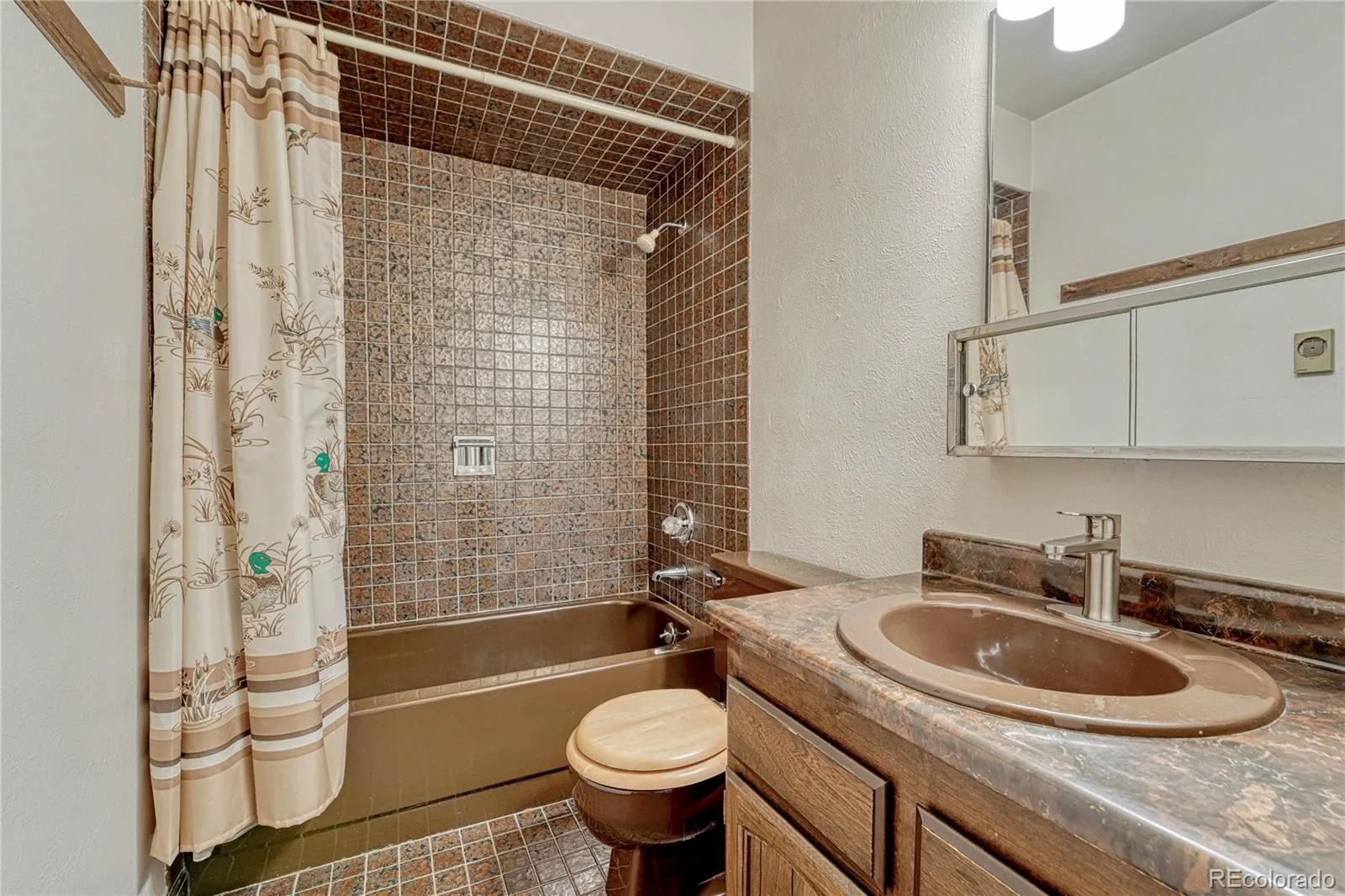 1884 Elizabeth Drive Parker CO 80138 | MLS #REC8660058 05162026041709 1600 19