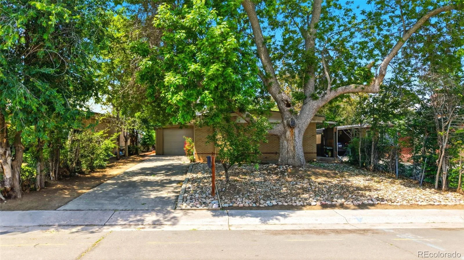 1225 Dallas Street Aurora CO 80010 MLS #REC8661911 05292026235620 1600 24