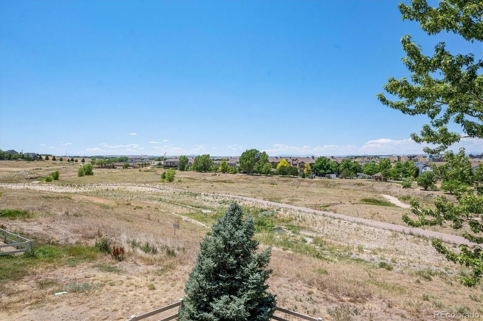 8419 Dove Ridge Way Parker CO 80134 MLS #REC8662601 07232026125342 1600 36