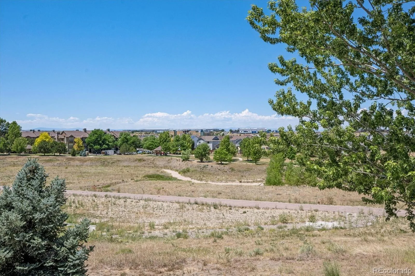 8419 Dove Ridge Way Parker CO 80134 MLS #REC8662601 07232026125342 1600 37