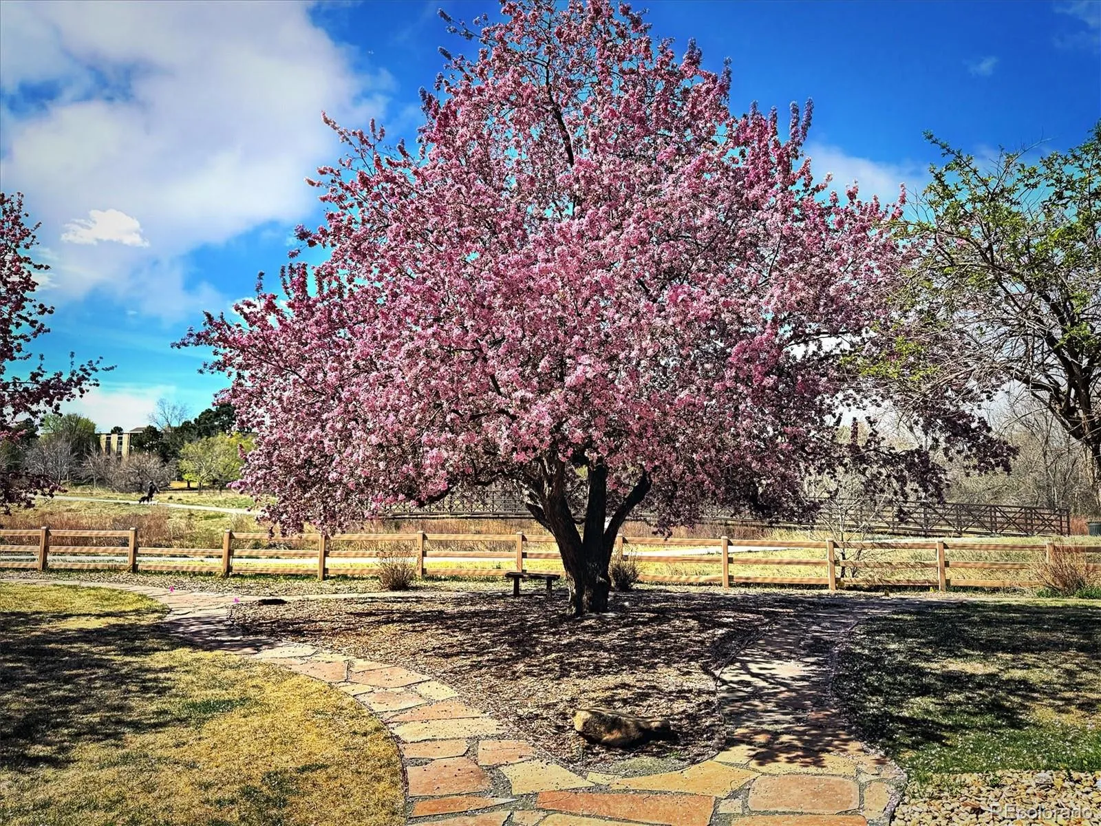 04082026214555 1600 35