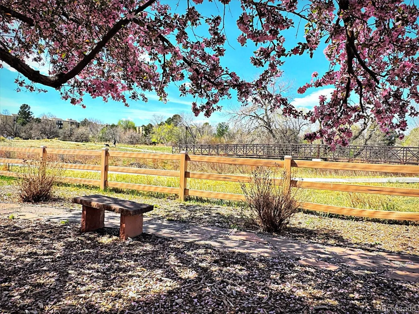 04082026214555 1600 36