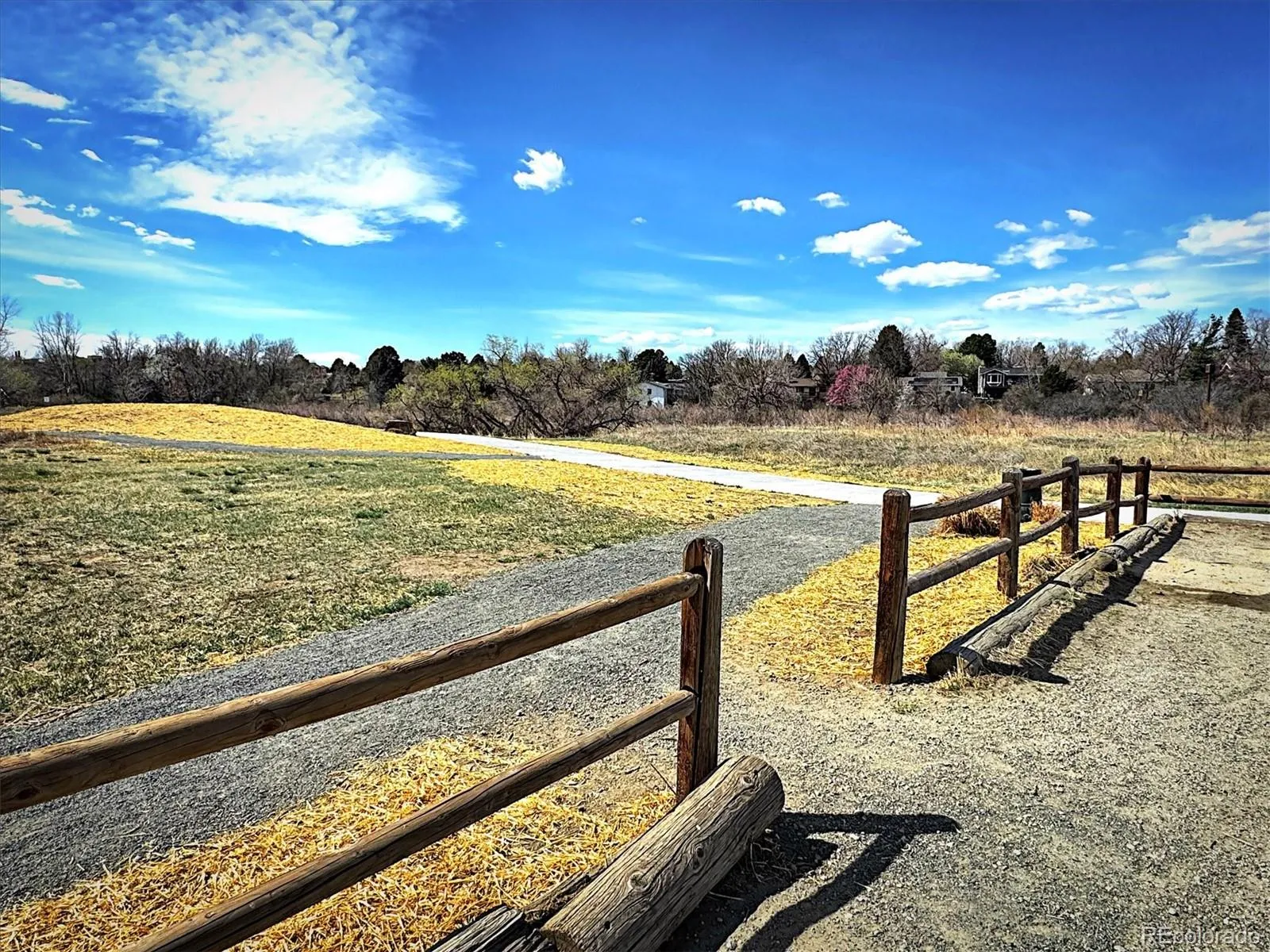 3121 S Tamarac Drive #208H Denver CO 80231 MLS #REC8666352 05262026211831 1600 37