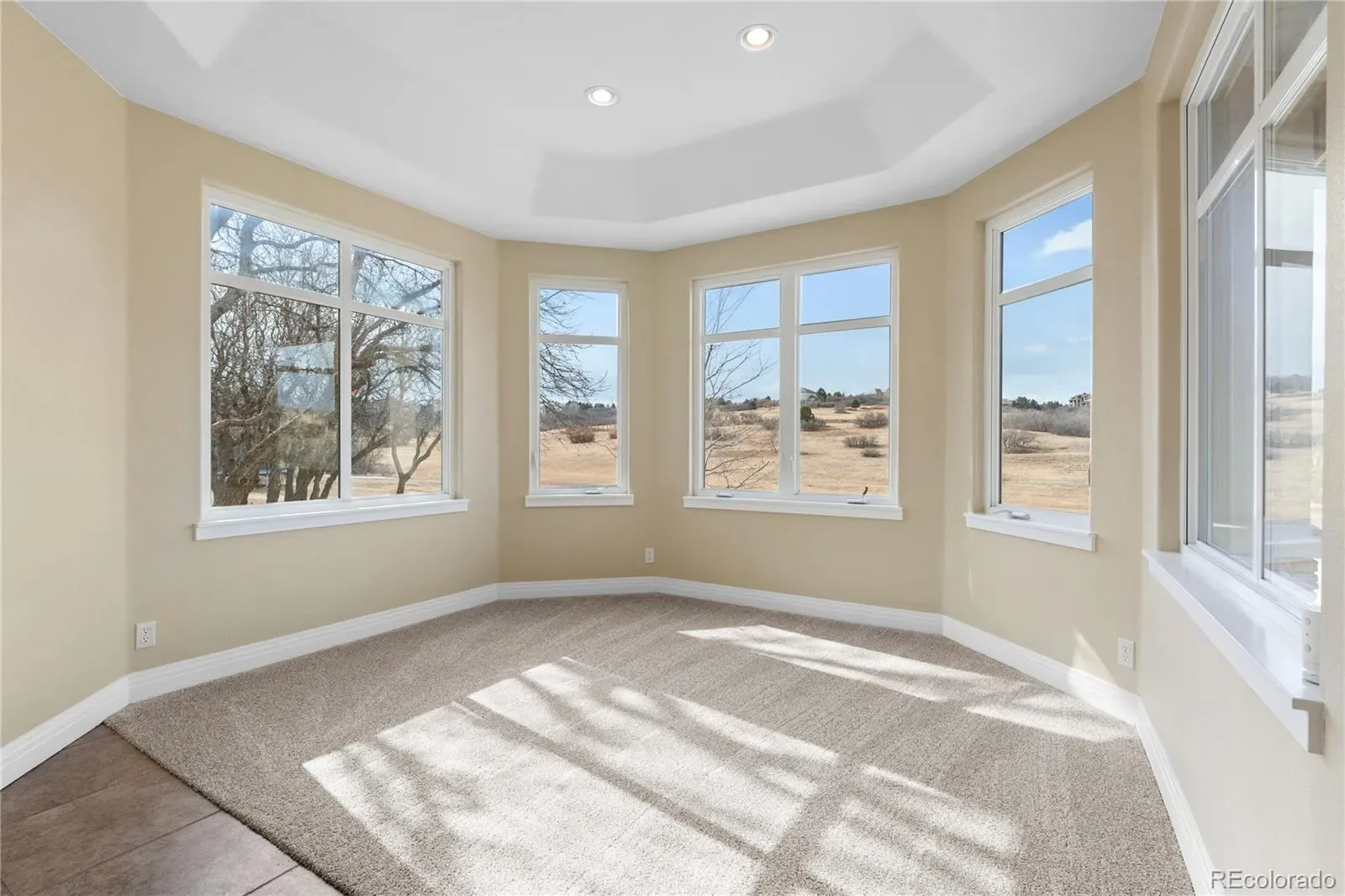 6329 Diamond Ridge Parkway Castle Rock CO 80108 MLS #REC8673036 03242026202139 1600 29